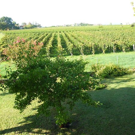 Saint-Émilion Le Clos Des Rosiers المظهر الخارجي الصورة