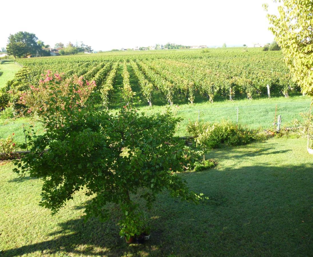 Saint-Émilion Le Clos Des Rosiers المظهر الخارجي الصورة