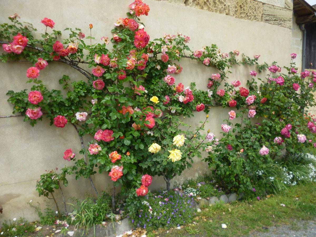 Saint-Émilion Le Clos Des Rosiers المظهر الخارجي الصورة